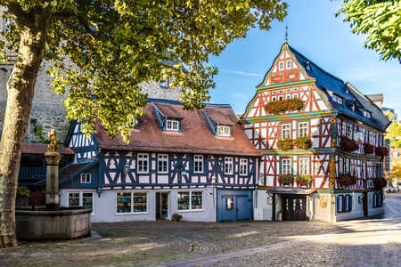 Idyllic Streets and Buildings in small Town Idstein in Hesse, Germany.のeditorial素材