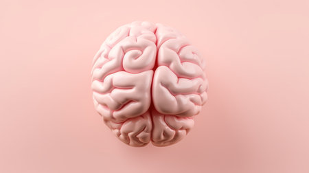 Human brain anatomy model isolated over ping background, artificial artの素材
