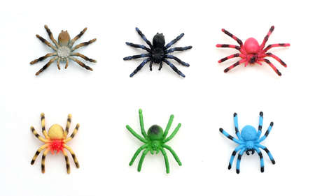 Colorful Plastic Toy Spiders on White Backgroundの写真素材