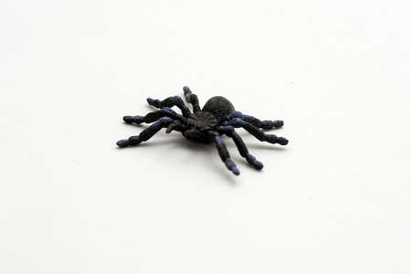 Black Plastic Toy Spider on White Backgroundの写真素材
