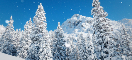 Winter scenery with snowy forest and high moutain.の写真素材