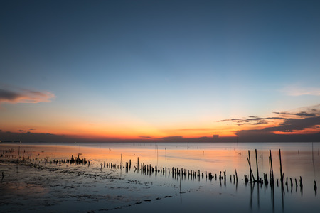 The Nature Education Center for Mangrove Conservation and Ecotourism in Chonburiの写真素材