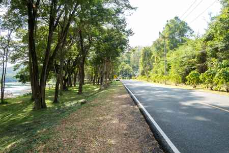 Green and roadの写真素材