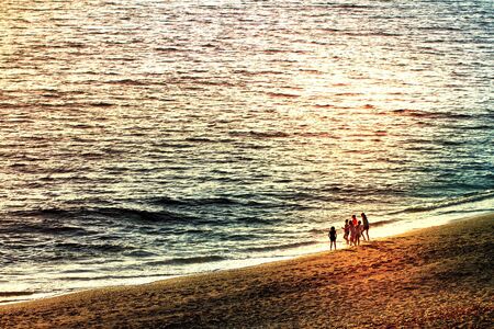 A group of young children on a quiet beach having fun in front of a sunlit oceanの素材