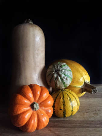A variety of different pumpkins munchkins butternut squash and gourds in a still life image with copy spaceの素材