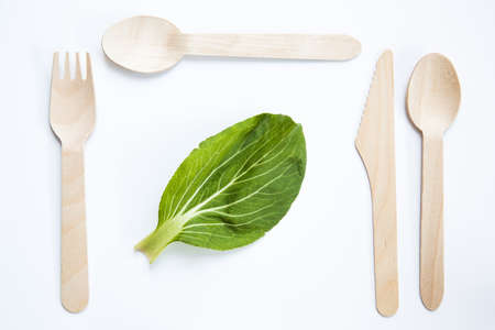 A flat lay of fresh vegetables and vegan food such as broccoli and carrots with environmentally...