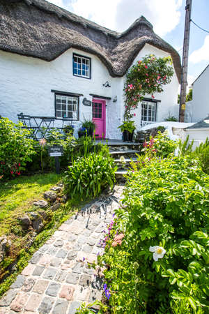 COVERACK, CORNWALL, UK - JUNE 19, 2019. A quaint, thantched cottage with beautiful garden in teh popular Cornish tourist destination of Coverack.のeditorial素材