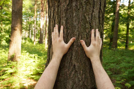 A tree hugging environmentalist or conservationist with their hands holding onto a tree trunk to protect it from deforestation and be close to natureの写真素材