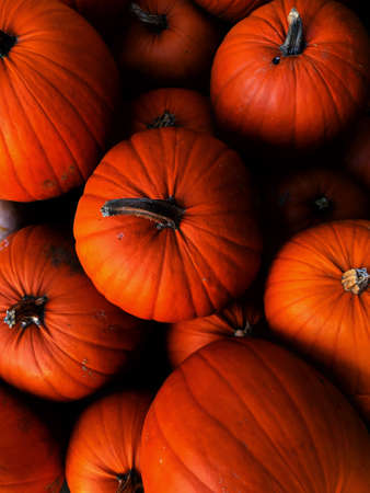 A full frame food background image of a stack of orange pumpkins for sale on a market stall for Halloween or pumpkin pieの写真素材