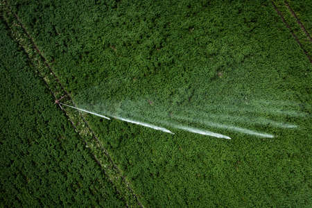 Areial view of a large scale water sprayer in a potato crop field during dry weather conditions being used to irrigate crops with copy spaceの写真素材