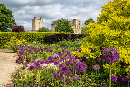HELMSLEY CASTLE, NORTH YORKSHIRE, UK - MAY 29, 2023.  A view of the ancient architecture of Helmsley Castle from the formal and colourful flower beds of The Helmsley Walled Gardensのeditorial素材