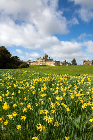 CASTLE HOWARD, YORK, UK - MARCH 23, 2024.  A vertical landscape panorama of Castle Howard Stately Home in the Howardian Hills with a flowerbed of daffodils in Springtime on a sunny dayのeditorial素材