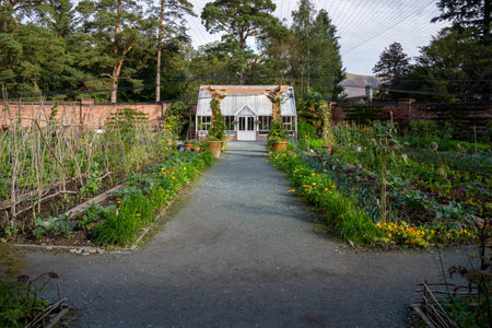 A beautiful formal walled garden with Victorian style greenhouse and vegetable patch in an English country gardenの写真素材