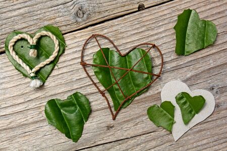 Heart shaped from green leaves on wooden backgroundの写真素材