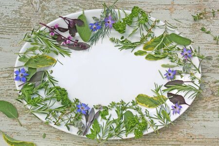 various herbs on plate