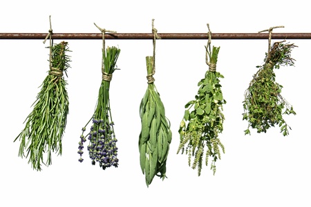 herbs hanging upside-down の写真素材