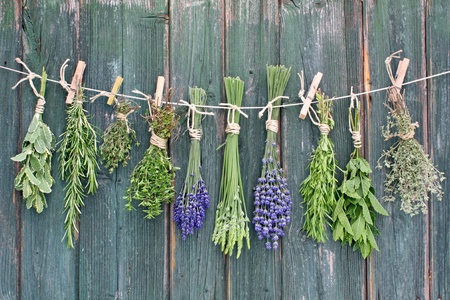 various herbs haging upside-down on line の写真素材