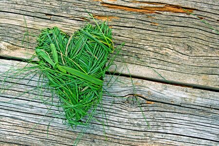 heart shaped from green grassの写真素材