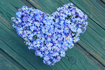 heart made &#8203;&#8203;of forget-me-not flowers on wooden backgroundの写真素材