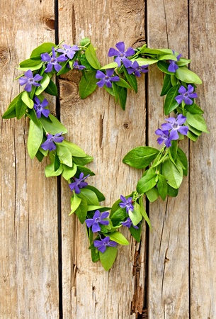 floral heart of evergreen flowerの写真素材