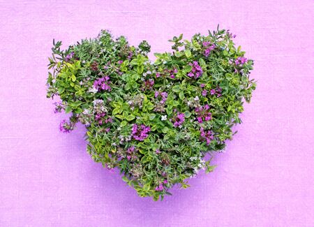 heart made of different varieties of thyme