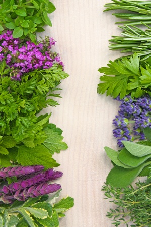 background of different fresh herbsの写真素材