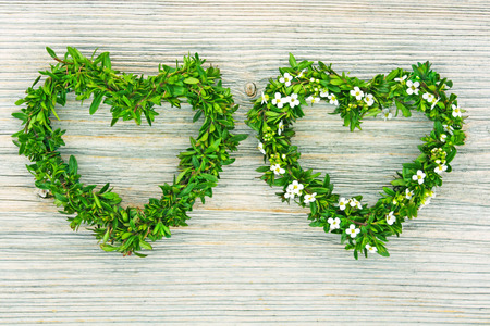 two hearts formed from fresh branches of thyme and small floret on wooden backgroundの写真素材