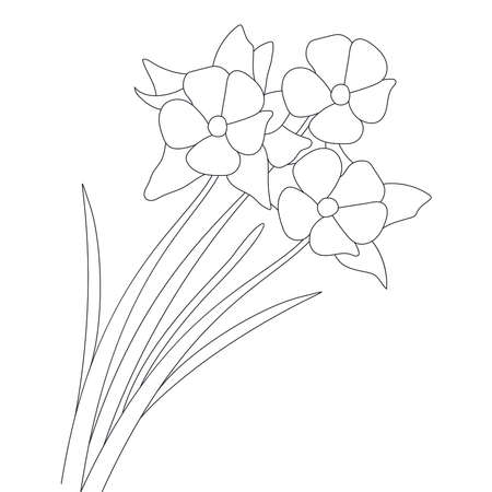 silhouette outline stock illustration of flower coloring pageのイラスト素材