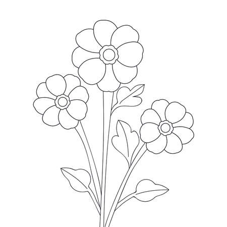 beautiful line drawing concept of black and white artwork in blossom flower on isolated backgroundのイラスト素材