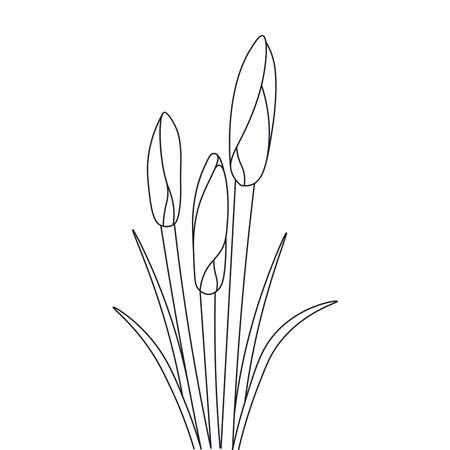 wonderful flowers with Vector illustration for coloring page isolated on white backgroundのイラスト素材