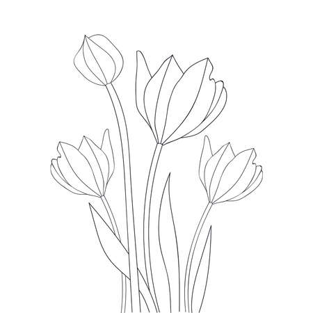 simple detailed line art tulip coloring page artwork of blooming branchのイラスト素材