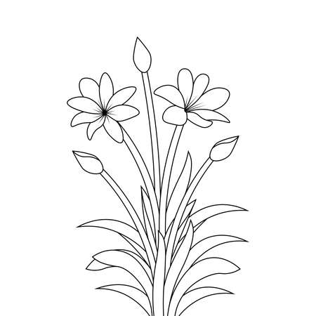 blooming flower printing pencil line art coloring page for kid and adultのイラスト素材