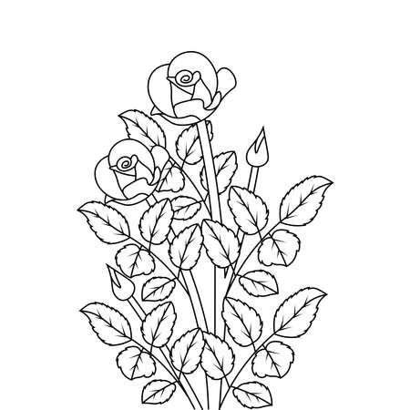 rose flower line art object coloring page illustration for kid and adultのイラスト素材