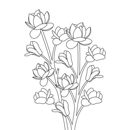 flowers coloring page printing botanical illustration outline designのイラスト素材