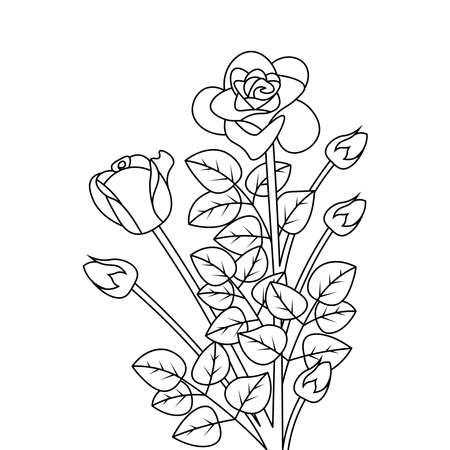 blooming rose flower blossom line art illustration for coloring pageのイラスト素材