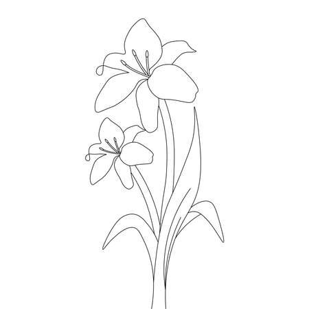 seasonal flower line art illustration on isolated black and white backgroundのイラスト素材