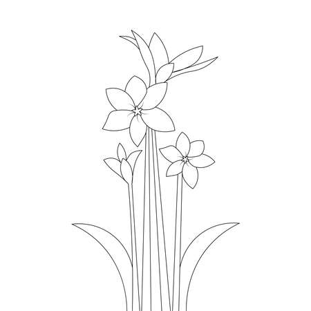 hand drawn coloring page flower of printing vector templateのイラスト素材
