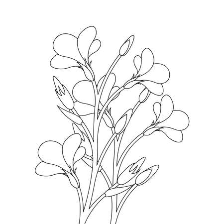 silhouette flourish branch flower coloring page of detailed line art designのイラスト素材