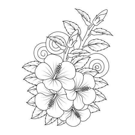 rose of sharon flower line art vector graphic design of coloring page with detailed shapeのイラスト素材