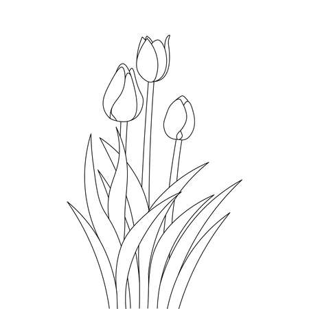 tulip line art flower coloring page design for printing template continuous black strokeのイラスト素材