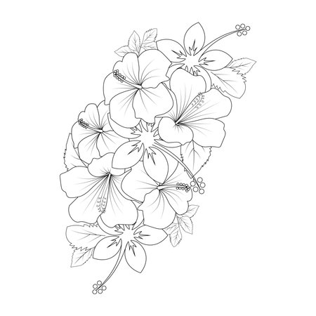 red hibiscus flower coloring page line drawing with print template for kid and adultのイラスト素材