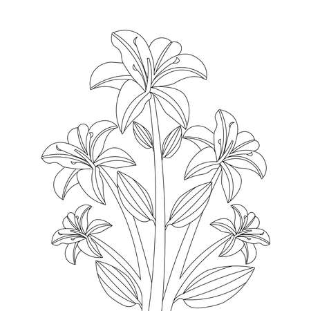 blooming petal of flower branch coloring book page element for kids drawingのイラスト素材