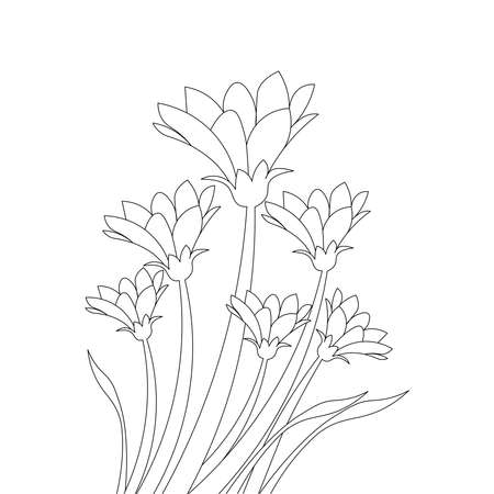 vector flower drawing with detailed creative line stroke for coloring pageのイラスト素材