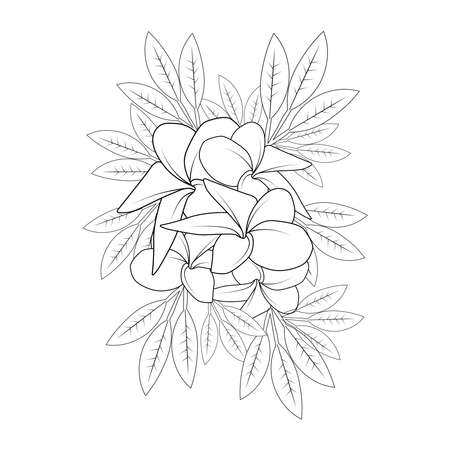 plumeria flower doodle coloring page outline vector illustration of isolated in white backgroundのイラスト素材