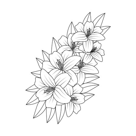 coloring page flower illustration with doodle style line drawing templateのイラスト素材