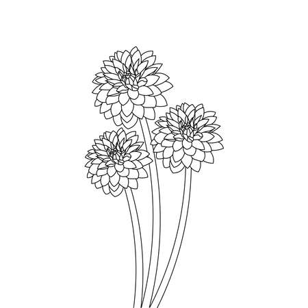 single flower line drawing coloring page for kids activities of educational elementのイラスト素材