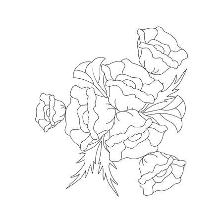 poppy flower line art drawing of continuous pencil artwork for kidsのイラスト素材