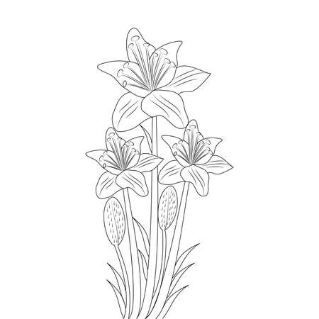flower line art drawing of continuous pencil artwork for kid coloring page of printing elementのイラスト素材