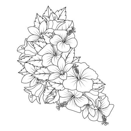 hibiscus flower coloring page with detailed line art vector graphic and doodle art design of flower outline line drawing and black and white background.のイラスト素材