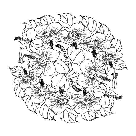rose of sharon flower doodle art design of coloring page with detailed line art vector graphic. hibiscus flower illustration. hibiscus flower hand drawn ilustration.のイラスト素材